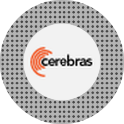 Cerebras Systems (Stove Tokenized Stock) CBRSS