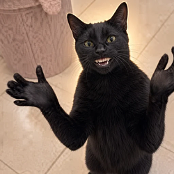 Clapping Cat CLAPCAT