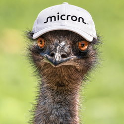 EMU EMU