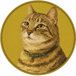 GinnanCoin GINNAN
