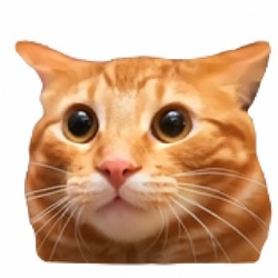 hi HI