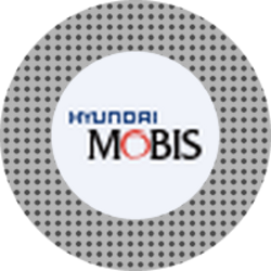 Hyundai Mobis (Stove Tokenized Stock) MOBISS