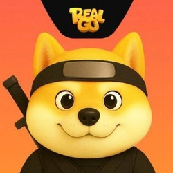 RealGo RT