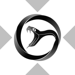 Viper Energy xStock VNOMX